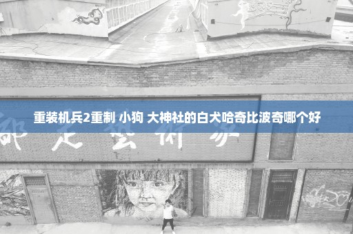 重装机兵2重制 小狗 大神社的白犬哈奇比波奇哪个好