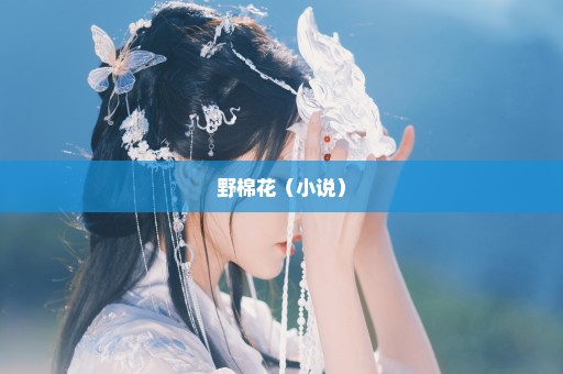 野棉花（小说）