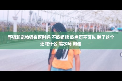 野猫和宠物猫有区别吗 不吃猫粮 吃鱼可不可以 除了这个还吃什么 喝水吗 谢谢