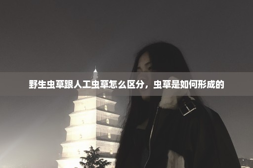 野生虫草跟人工虫草怎么区分，虫草是如何形成的