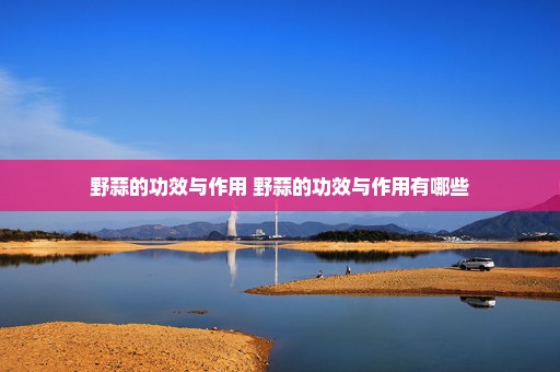 野蒜的功效与作用 野蒜的功效与作用有哪些