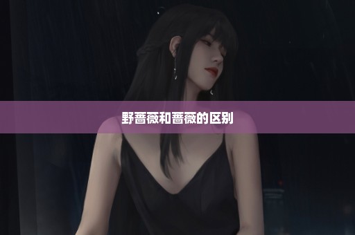 野蔷薇和蔷薇的区别