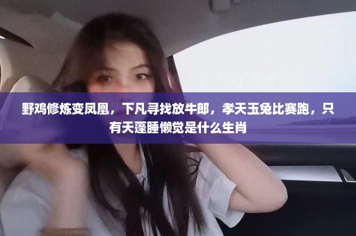 野鸡修炼变凤凰，下凡寻找放牛郎，孝天玉兔比赛跑，只有天蓬睡懒觉是什么生肖