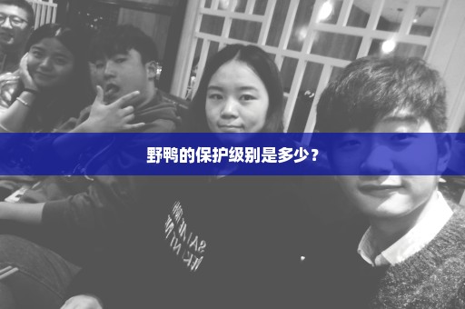 野鸭的保护级别是多少？