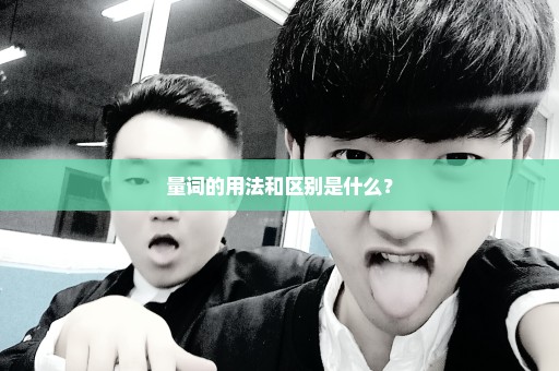 量词的用法和区别是什么？