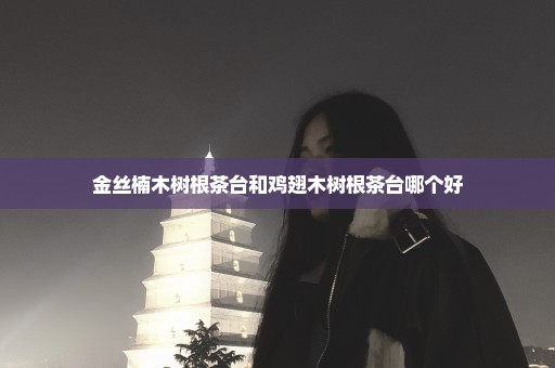 金丝楠木树根茶台和鸡翅木树根茶台哪个好
