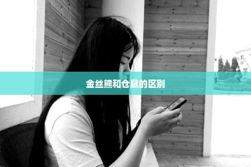 金丝熊和仓鼠的区别