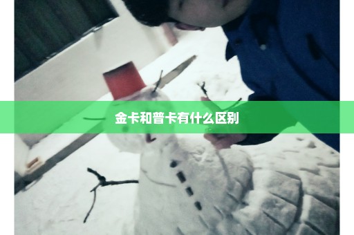 金卡和普卡有什么区别