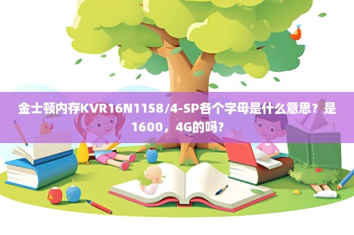 金士顿内存KVR16N11S8/4-SP各个字母是什么意思？是1600，4G的吗？