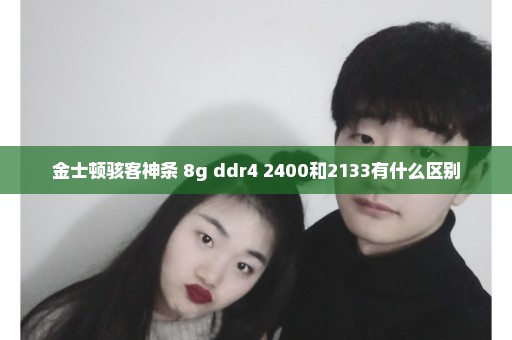 金士顿骇客神条 8g ddr4 2400和2133有什么区别
