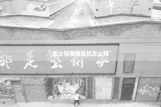 金士顿黑鹰耳机怎么样