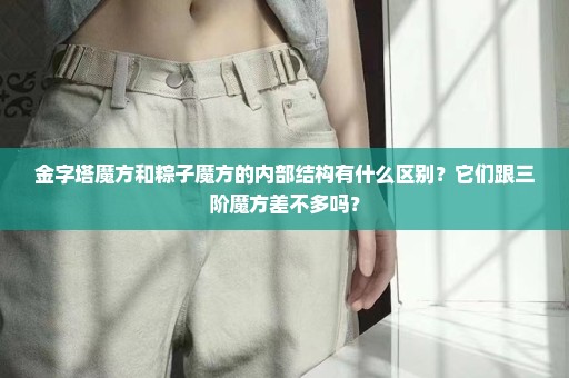 金字塔魔方和粽子魔方的内部结构有什么区别？它们跟三阶魔方差不多吗？