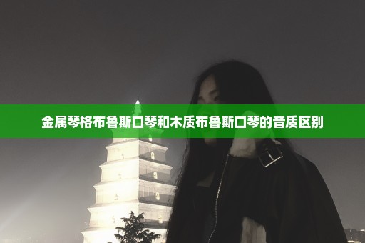 金属琴格布鲁斯口琴和木质布鲁斯口琴的音质区别