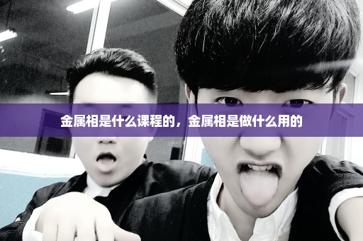 金属相是什么课程的，金属相是做什么用的