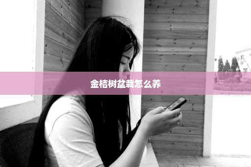 金桔树盆栽怎么养