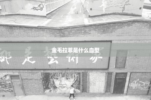 金毛拉菲是什么血型