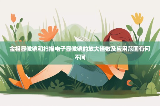 金相显微镜和扫描电子显微镜的放大倍数及应用范围有何不同
