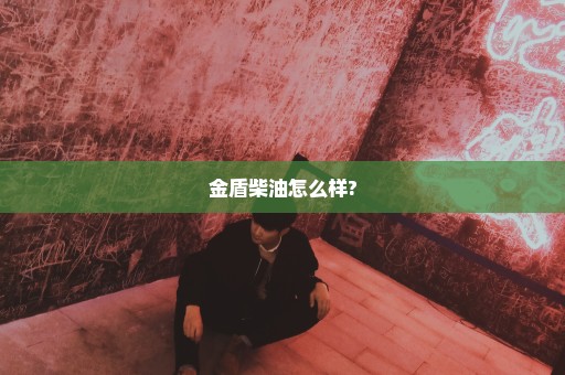金盾柴油怎么样?