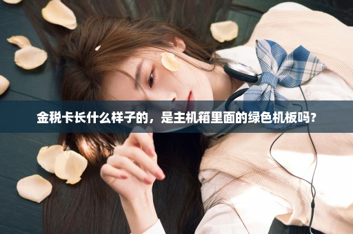 金税卡长什么样子的，是主机箱里面的绿色机板吗？