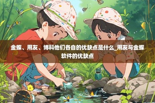 金蝶、用友、博科他们各自的优缺点是什么_用友与金蝶软件的优缺点
