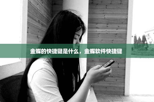 金蝶的快捷键是什么，金蝶软件快捷键 