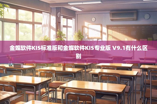 金蝶软件KIS标准版和金蝶软件KIS专业版 V9.1有什么区别