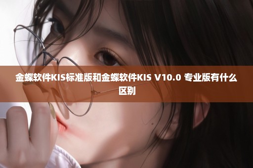 金蝶软件KIS标准版和金蝶软件KIS V10.0 专业版有什么区别