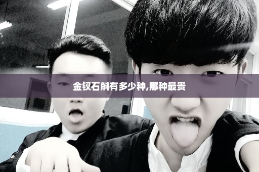 金钗石斛有多少种,那种最贵