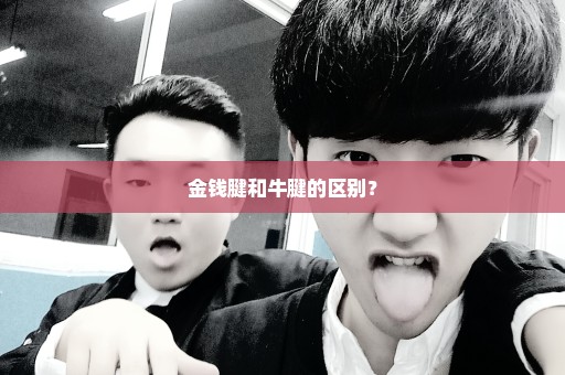 金钱腱和牛腱的区别？