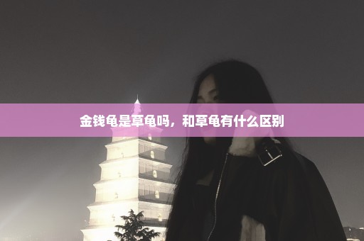 金钱龟是草龟吗，和草龟有什么区别