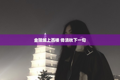 金陵城上西楼 倚清秋下一句