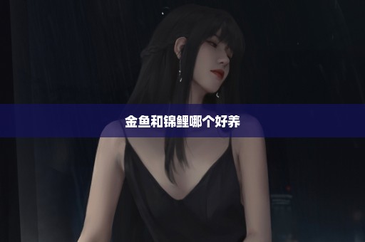 金鱼和锦鲤哪个好养