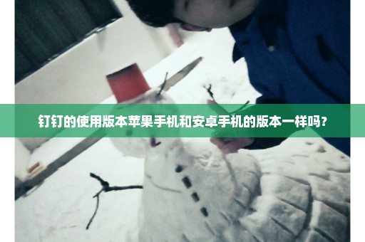钉钉的使用版本苹果手机和安卓手机的版本一样吗？