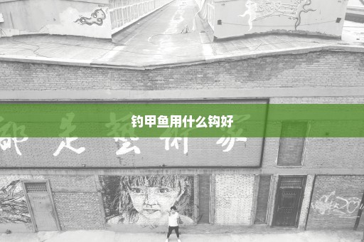 钓甲鱼用什么钩好