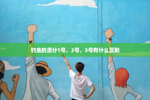 钓鱼的漂分1号，2号，3号有什么区别