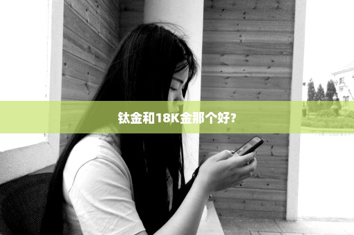 钛金和18K金那个好？