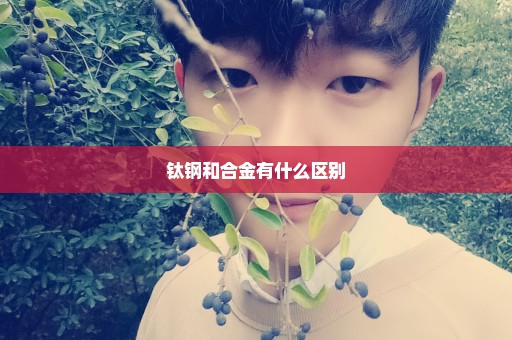 钛钢和合金有什么区别