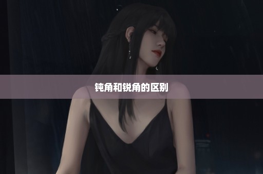 钝角和锐角的区别