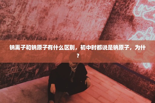 钠离子和钠原子有什么区别，初中时都说是钠原子，为什？