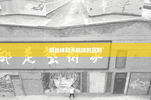钢丝袜和天鹅绒的区别