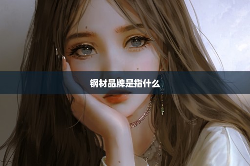 钢材品牌是指什么