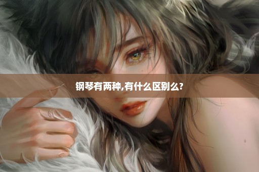 钢琴有两种,有什么区别么?