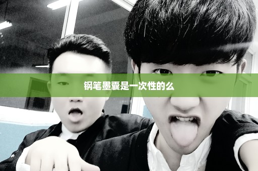 钢笔墨囊是一次性的么