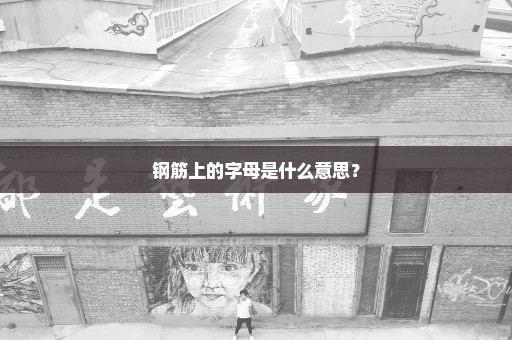 钢筋上的字母是什么意思？