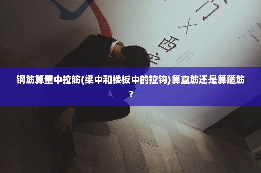 钢筋算量中拉筋(梁中和楼板中的拉钩)算直筋还是算箍筋？