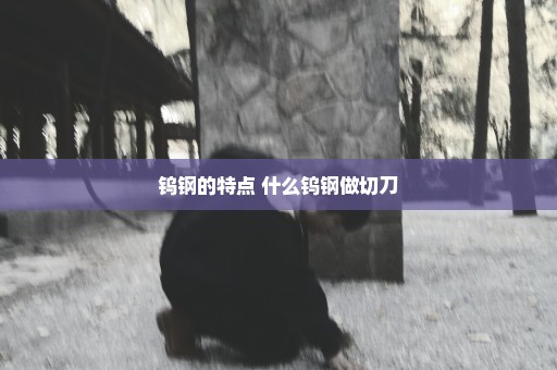 钨钢的特点 什么钨钢做切刀