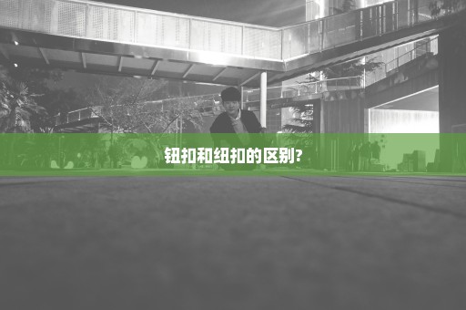 钮扣和纽扣的区别?