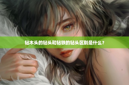 钻木头的钻头和钻铁的钻头区别是什么？