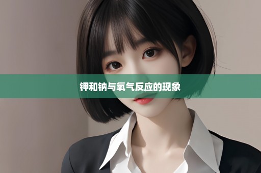 钾和钠与氧气反应的现象
