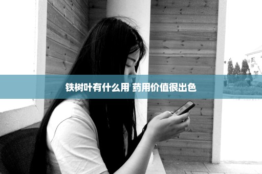 铁树叶有什么用 药用价值很出色